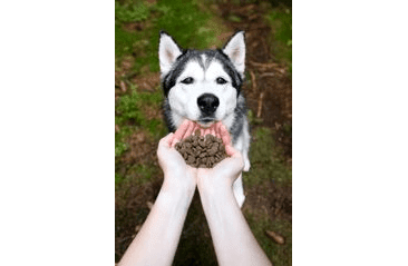 MARP HOLISTIC LAMB - JEHNĚČÍ BEZ OBILOVIN 17KG