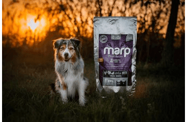 MARP HOLISTIC WHITE MIX SB - PRO MALÁ PLEMENA BEZ OBILOVIN 12KG