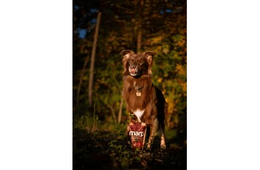 MARP HOLISTIC – KACHNÍ PAMLSKY S KELPOU BEZ OBILOVIN 150G