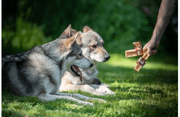 MARP HOLISTIC - HORSKÁ TYČINKA XL (110 - 119G) SLEVA 30% (POLÁMANÁ)