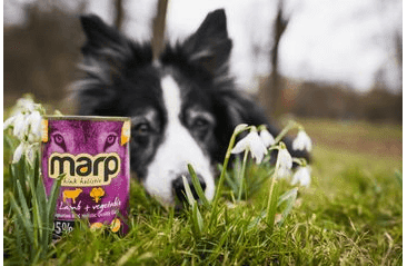 MARP MIX KONZERVA PRO PSY JEHNĚ+ZELENINA 400G