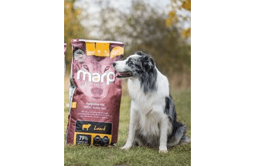 MARP HOLISTIC LAMB - JEHNĚČÍ BEZ OBILOVIN 12KG