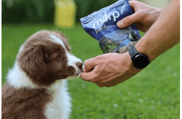 MARP SNACK - PAMLSKY S HOVĚZÍM MASEM 150G EXP 02/2025 SLEVA 30%