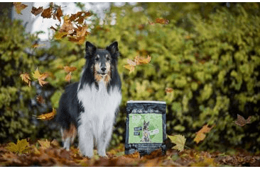 DOXNEO LAMB - JEHNĚČÍ BEZ OBILOVIN 2KG