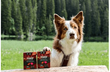 MARP HOLISTIC KRŮTA S KACHNOU TETRAPAK 375G