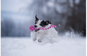 PEŠEK HAMER, KULATÝ - RŮŽOVÁ