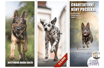 VSTUPENKA NA DOSTIHOVOU DRÁHU KOLÍN