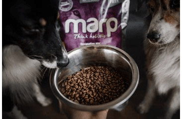 MARP HOLISTIC WHITE MIX SB - PRO MALÁ PLEMENA BEZ OBILOVIN 2KG