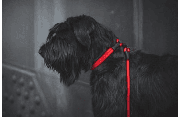 AMINELA FERRATA LANOVÉ VODÍTKO - ČERVENÁ