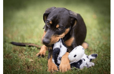 MULTIPET SQUEAKER MAT TUG KRÁVA PLYŠ 35,5 CM