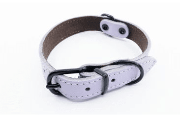 BAFPET KOŽENÝ OBOJEK HERRY MINI, ČERNÉ KOVÁNÍ - FIALOVÁ