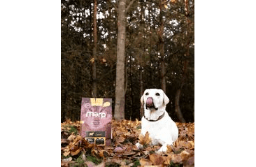 MARP HOLISTIC LAMB - JEHNĚČÍ BEZ OBILOVIN 2KG