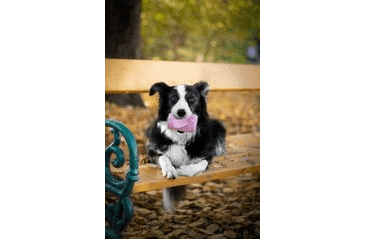 AMARAGO ECO FRIENDLY HRAČKA PRO PSY PLECHOVKA RŮŽOVÁ, 16CM/110G