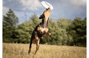 AMINELA FRISBEE FASTBACK CLASSIC WHITE