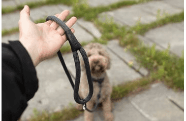 AMINELA FERRATA LANOVÉ VODÍTKO - ŠEDÁ