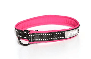 Aminela obojek polostahovací Sport & City 25mm/54cm + 5cm, malinová Aminela obojek polostahovací Sport & City 25mm/54cm + 5cm, malinová