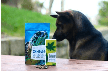 ENERGY CANNABIVET 30ML