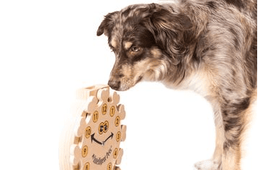 DŘEVĚNÝ HLAVOLAM CLOCK
