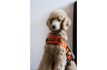 FARM COMPANY ZÁCHRANNÁ PLOVACÍ VESTA XS