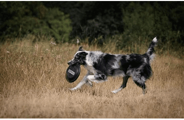 AMINELA FRISBEE FASTBACK CLASSIC BLACK