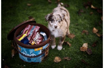 ŠTĚNĚČÍ BALÍČEK S KRMIVEM 1KS