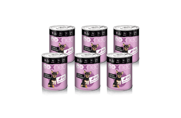 DOXNEO DUCK KONZERVA PRO PSY S KACHNOU 6X400G