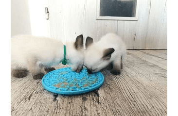 AMARAGO LÍZACÍ PODLOŽKA KRUH MODRÝ