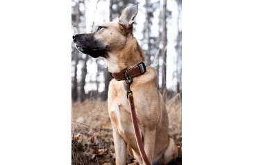 BAFPET OBOJEK HERRY, OBŠITÝ, ČERNÉ KOVÁNÍ - KOŇAK