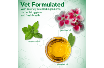 VET'S BEST OSVĚŽOVAČ DECHU PRO PSY  500ML