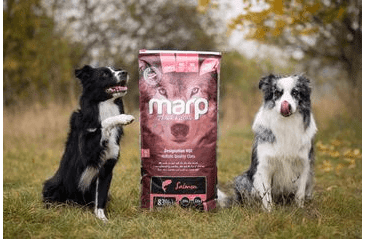MARP HOLISTIC SALMON - LOSOSOVÉ BEZ OBILOVIN 12KG