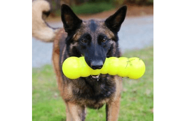 RUFF DAWG NEZNIČITELNÁ HRAČKA PRO PSY TYČ 30,5CM PRO VELKÉ PSY NAD 18 KG