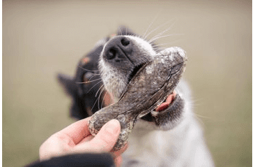 MARP HOLISTIC KOST Z LOSOSOVÉ KŮŽE