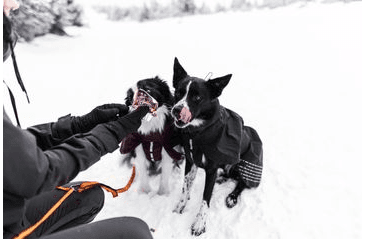 MARP MIX VANIČKA PRO PSY JEHNĚ+ZELENINA 16X100G