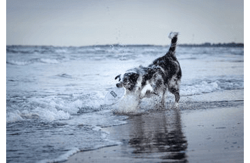 AMINELA FRISBEE FASTBACK FLEX LIGHT PURPLE