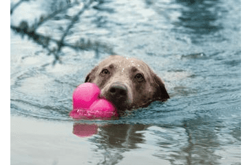 RUFF DAWG NEZNIČITELNÁ HRAČKA PRO PSY SRDCE 10,16CM PRO VELKÉ PSY NAD 18 KG