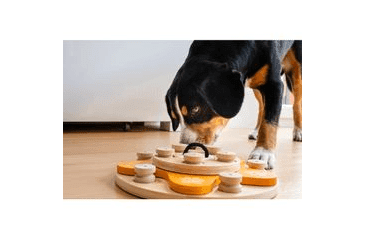 DŘEVĚNÝ HLAVOLAM FLOWER/OBTÍŽNOST 1-4