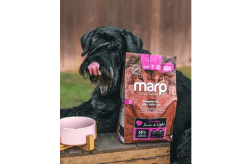 MARP HOLISTIC TURKEY S&L - KRŮTÍ SENIOR&LIGHT BEZ OBILOVIN 2KG