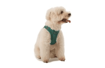 FARM COMPANY SOFT MESH POSTROJ PRO PSY ČERNÝ M 44-48CM