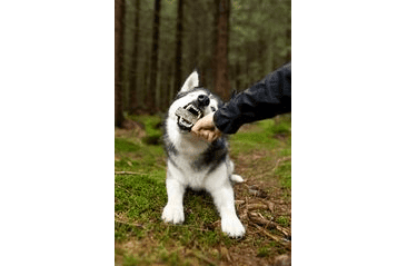 MARP HOLISTIC TYČINKA Z TRESČÍ KŮŽE