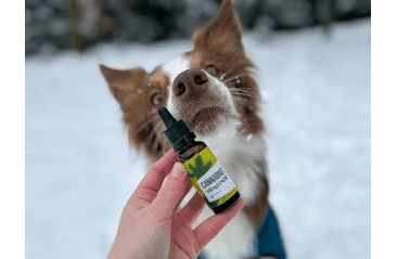 ENERGY CANNABIVET 30ML