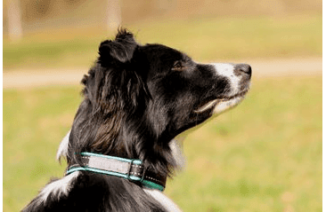 AMINELA KLASIK OBOJEK SPORT & CITY 25MM/30-50CM - TYRKYSOVÁ