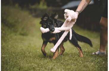 MULTIPET SWINGIN SLEVINS PRASE PLYŠ 67 CM