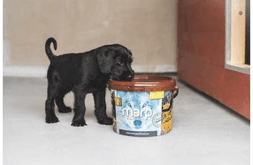 ŠTĚNĚČÍ BALÍČEK S KRMIVEM 1KS