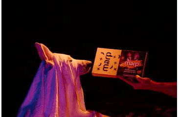 MARP HALLOWEENSKÝ PAMLSKOVÝ BOX