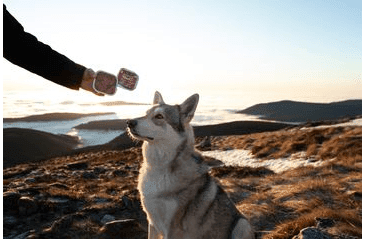 MARP ANGUS BEEF VANIČKA PRO PSY S HOVĚZÍM 16X100G