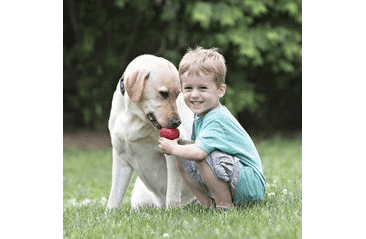 KONG HRAČKA GUMA CLASSIC S ČERVENÁ