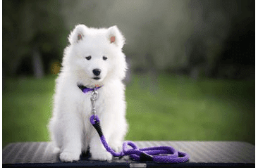 AMINELA LANOVÉ VODÍTKO 8MM/150CM FIALOVÉ SLEVA 20% VÝPRODEJ