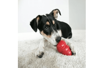 KONG HRAČKA GUMA CLASSIC L ČERVENÁ