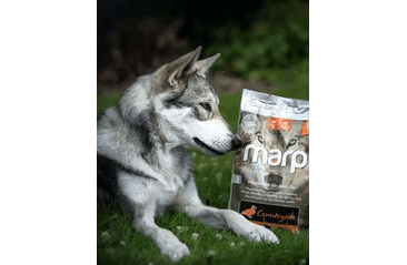 MARP VARIETY COUNTRYSIDE - KACHNÍ 2KG