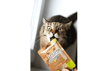 MARP HOLISTIC PLUS KAPSIČKA PRO KOČKY - KUŘE S TUŇÁKEM V ŽELÉ 55G